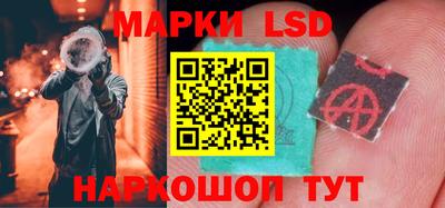 спиды Бердск
