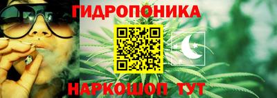 спиды Бердск