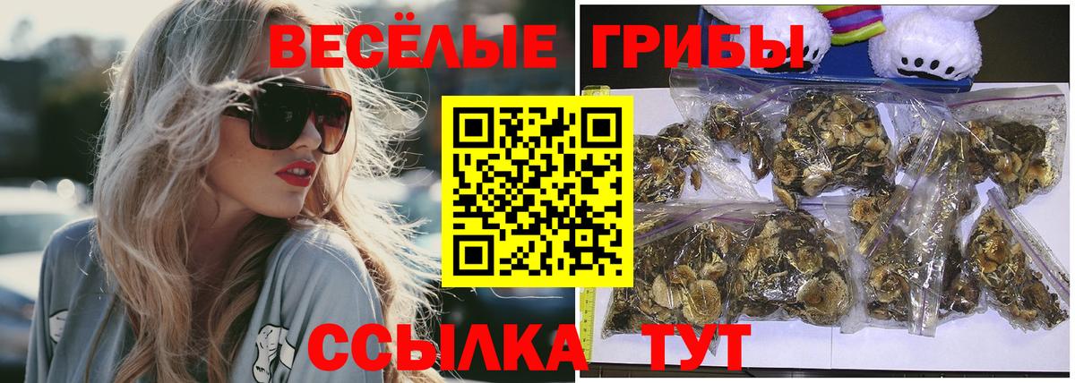 Псилоцибиновые грибы прущие грибы Бахчисарай