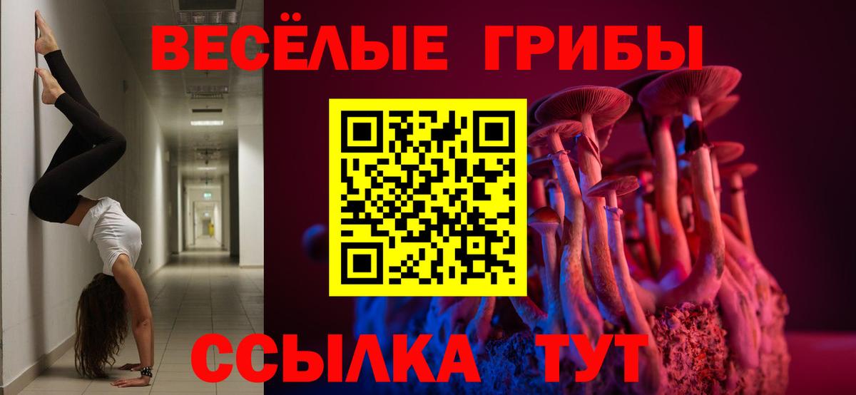 Галлюциногенные грибы GOLDEN TEACHER  Вход с VPN  Галлюциногенные грибы Magic Shrooms  Бахчисарай 